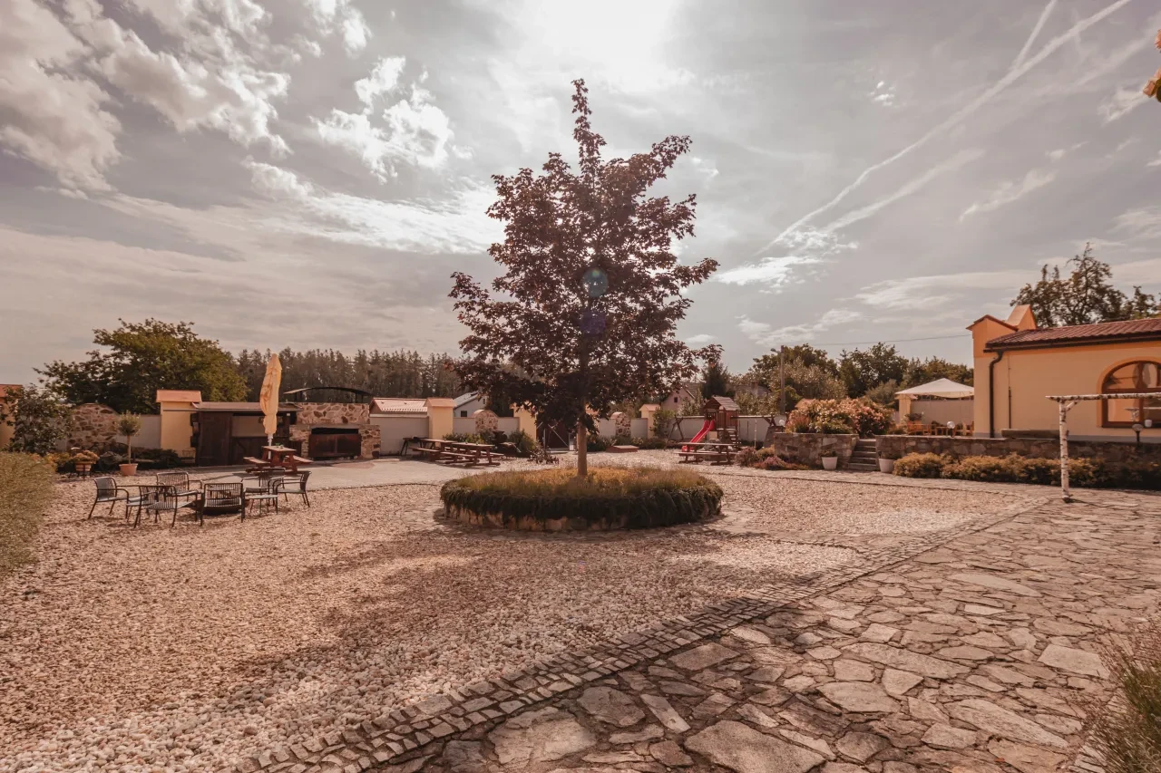 1791794743_IMG-5983